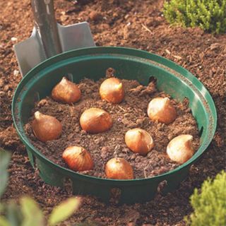 Round Large Bulb Basket Thumbnail